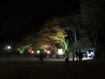 IMG_8361.jpg