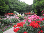 IMG_8409.jpg