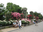 IMG_8557.jpg