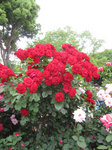 IMG_8578.jpg