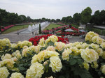 IMG_8581.jpg