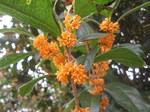 IMG_8617.jpg