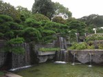 IMG_8619.jpg