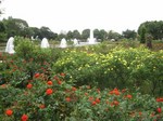 IMG_8622.jpg
