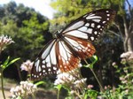 IMG_9001.jpg