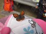 IMG_9522.jpg