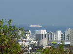 P1060047a.jpg