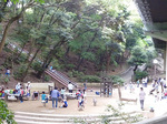 P1060107a.jpg