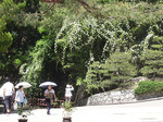 P1060306a.jpg
