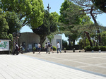 P1060307a.jpg