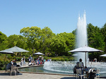 P1060314a.jpg