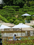 P1080134a.jpg