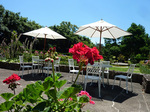 P1080153a.jpg