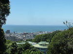 P1080214a.jpg