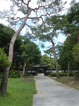 P1080263a.jpg
