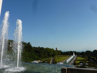P1100076a.jpg