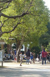 P1120150a.jpg