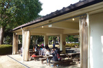 P1120154a.jpg