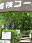 P1150333a.jpg