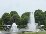 P1150411a.jpg