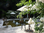 P1150426a.jpg