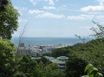 P1150450a.jpg