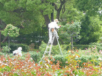 P1150634a.jpg