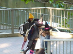 P1200058a.jpg