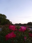 P1200431.JPG