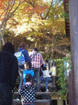 P1210227a.jpg