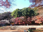 P1210232a.jpg