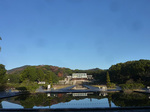 P1210673a.jpg
