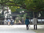 P1210682a.jpg