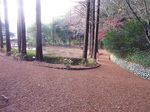P1210688a.jpg