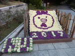 P1210808a.jpg