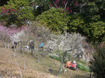 P1220596a.jpg
