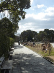 P1220605a.jpg