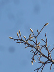 P1220640a.jpg