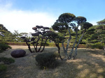 P1220696a.jpg