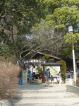 P1220811a.jpg